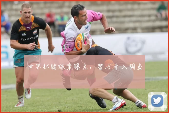 世界杯赌球案曝光,警方介入调查