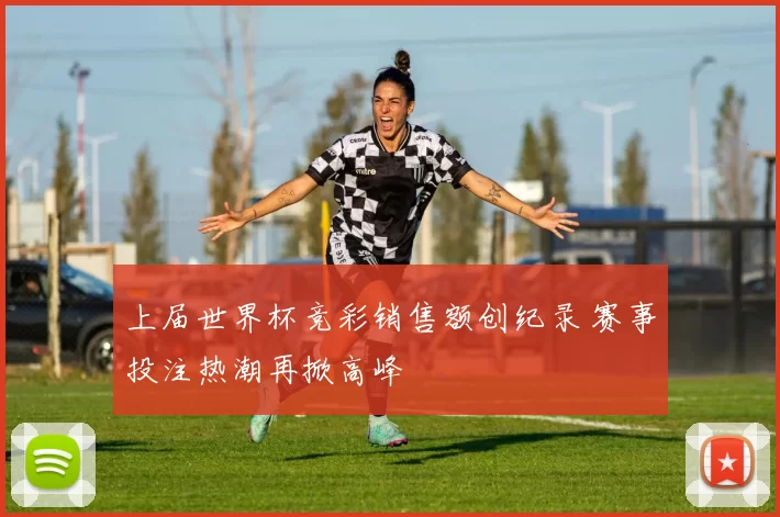 上届世界杯竞彩销售额创纪录 赛事投注热潮再掀高峰