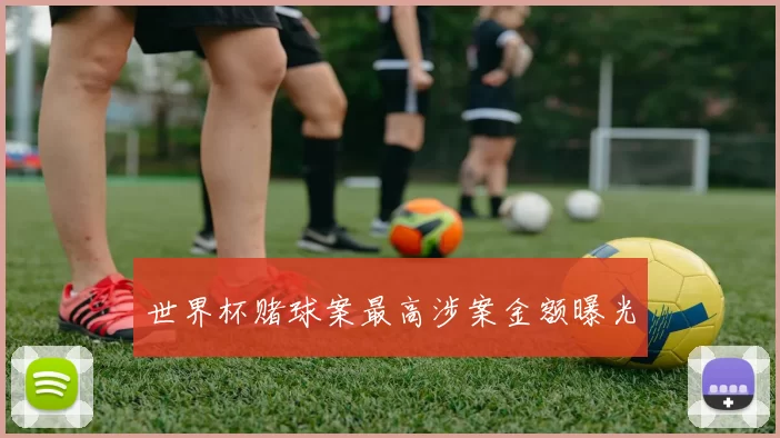 世界杯赌球案最高涉案金额曝光