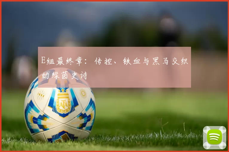 E组最终章：传控、铁血与黑马交织的绿茵史诗