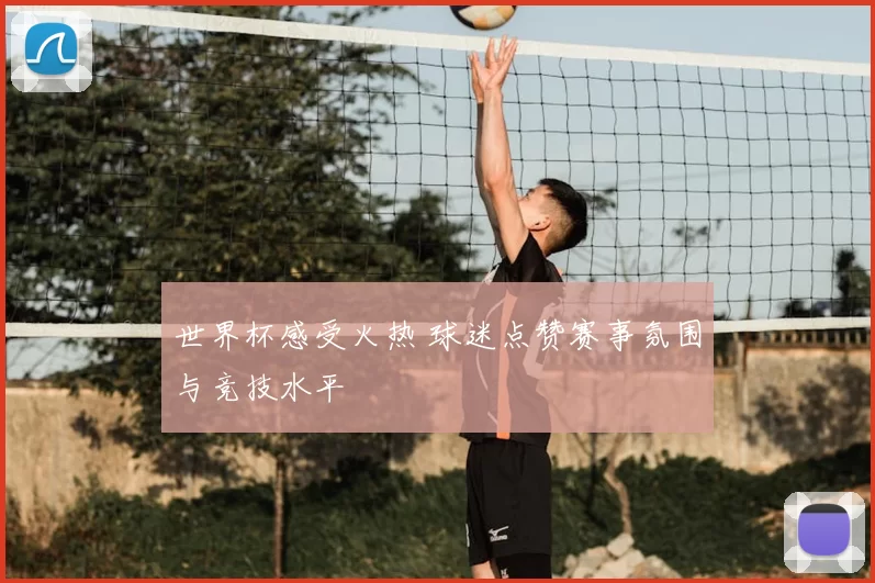 世界杯感受火热 球迷点赞赛事氛围与竞技水平