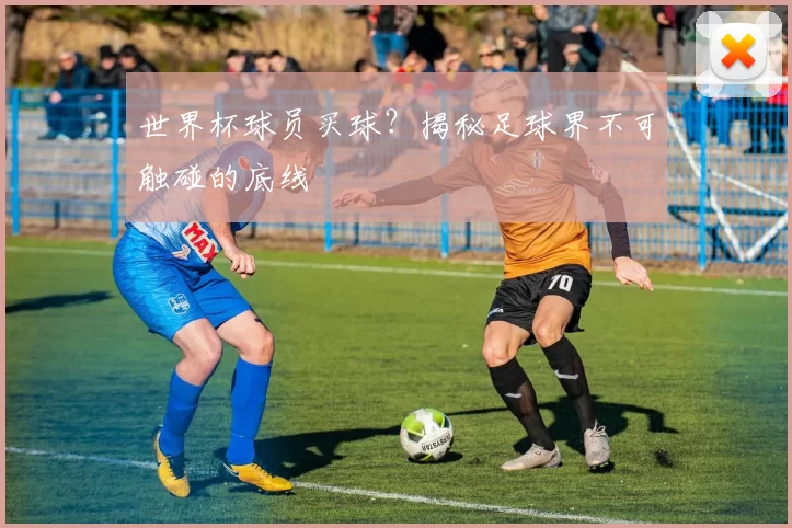 世界杯球员买球?揭秘足球界不可触碰的底线