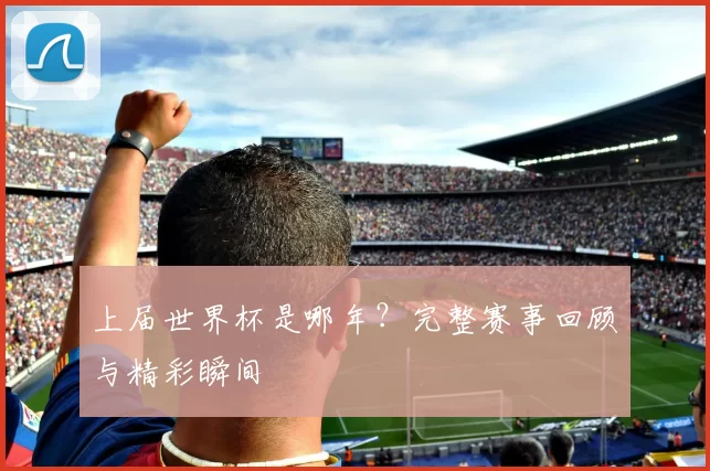 上届世界杯是哪年？完整赛事回顾与精彩瞬间