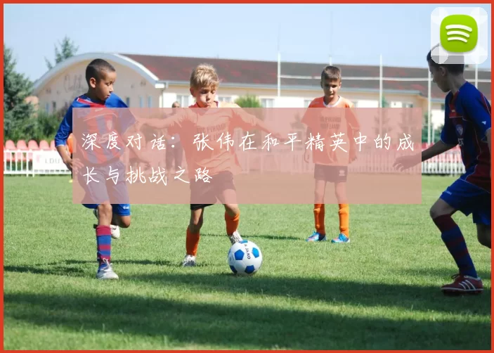 深度对话:张伟在和平精英中的成长与挑战之路