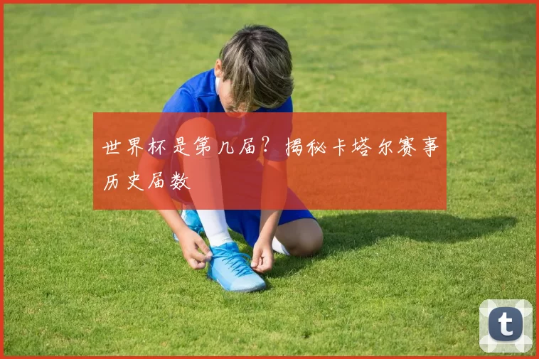 世界杯是第几届？揭秘卡塔尔赛事历史届数