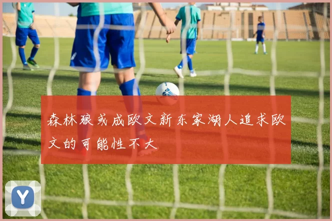 森林狼或成欧文新东家湖人追求欧文的可能性不大
