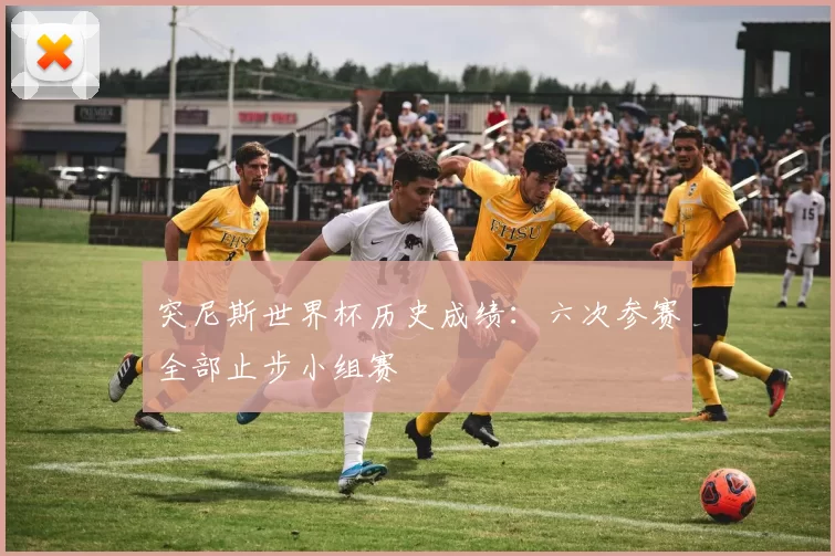 突尼斯世界杯历史成绩：六次参赛全部止步小组赛