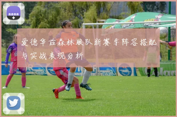 爱德华兹森林狼队新赛季阵容搭配与实战表现分析