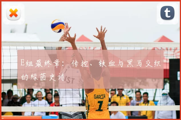 E组最终章:传控、铁血与黑马交织的绿茵史诗