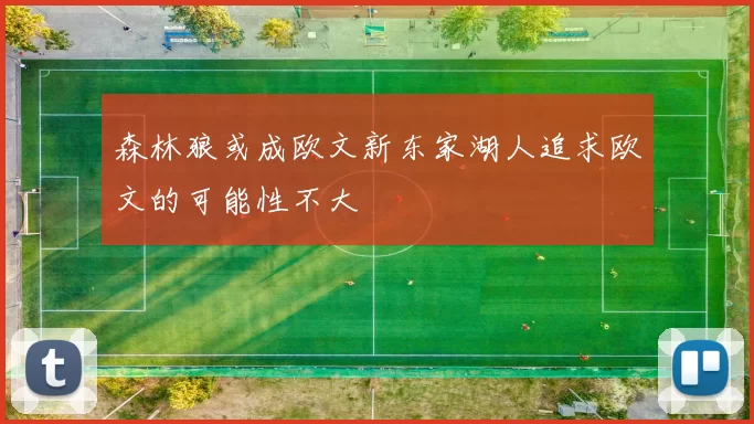 森林狼或成欧文新东家湖人追求欧文的可能性不大