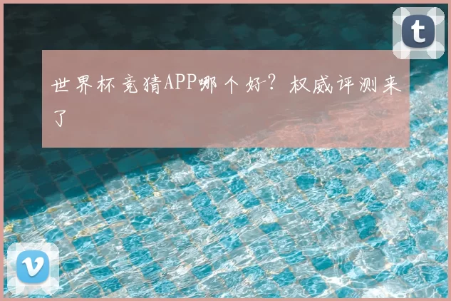 世界杯竞猜APP哪个好？权威评测来了